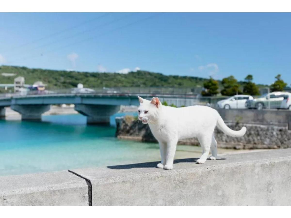 Hotel Pescatore Okinawa - Vacation Stay 20882V Naha Eksteriør billede