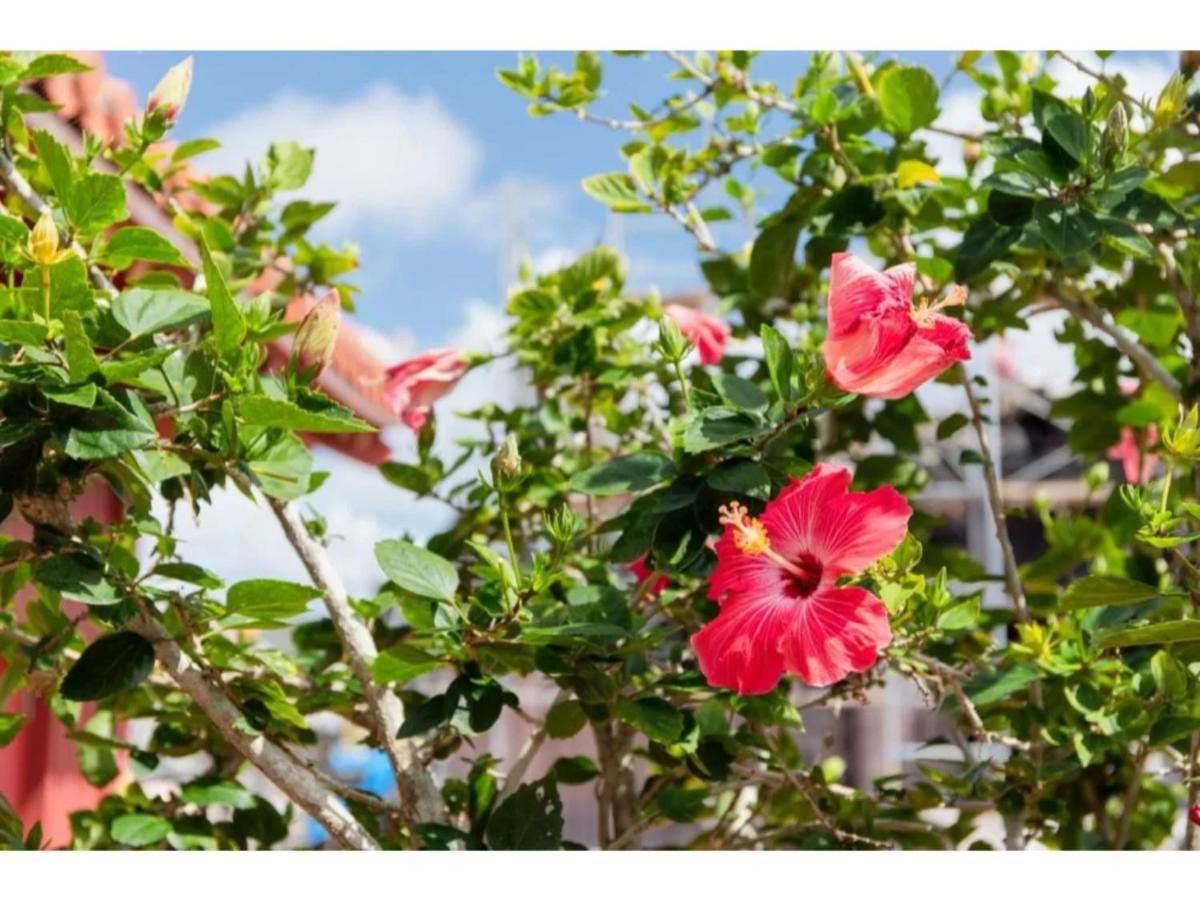 Hotel Pescatore Okinawa - Vacation Stay 20882V Naha Eksteriør billede