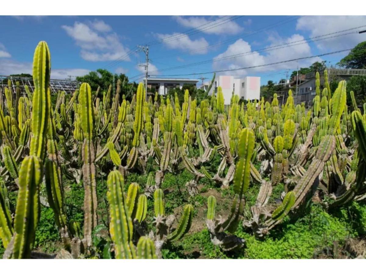 Hotel Pescatore Okinawa - Vacation Stay 20882V Naha Eksteriør billede